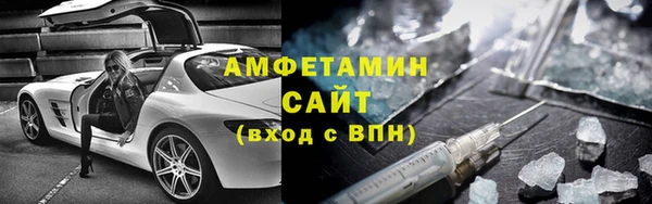 прущие грибы Заводоуковск