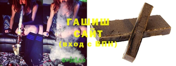 прущие грибы Заводоуковск