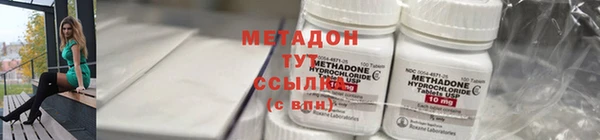 прущие грибы Заводоуковск