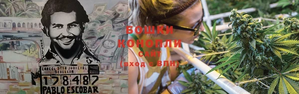 прущие грибы Заводоуковск