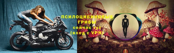 apvp Заволжск