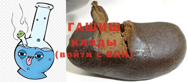 прущие грибы Заводоуковск