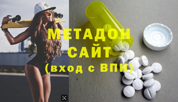 прущие грибы Заводоуковск