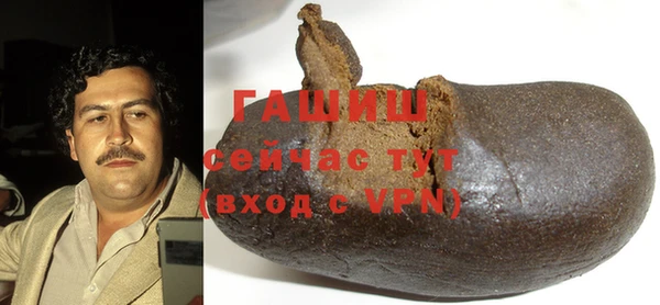 прущие грибы Заводоуковск