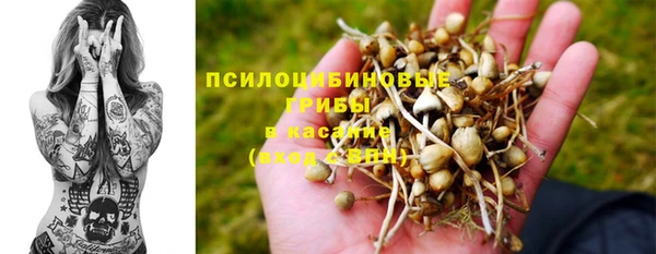 прущие грибы Заводоуковск