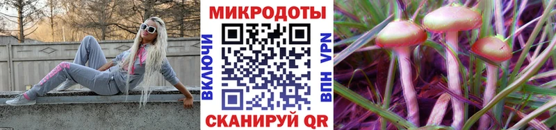 Галлюциногенные грибы GOLDEN TEACHER  Купить закладки  Железногорск